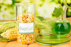 Hollands biofuel availability